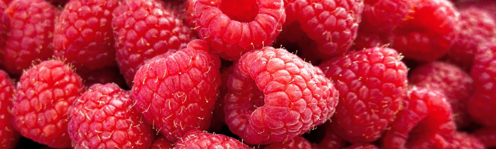 Raspberries