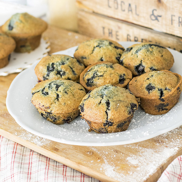 Blackberry Muffins